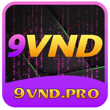 9Vnd icon